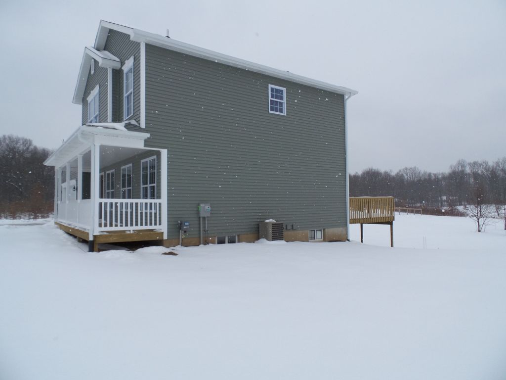 10455 Pennycress image 15