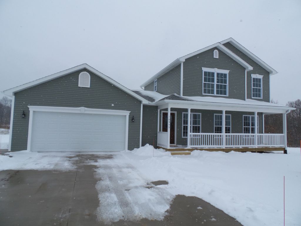 10455 Pennycress image 4