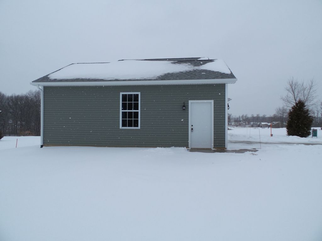 10455 Pennycress image 7