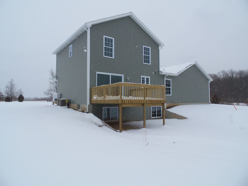 10455 Pennycress image 12